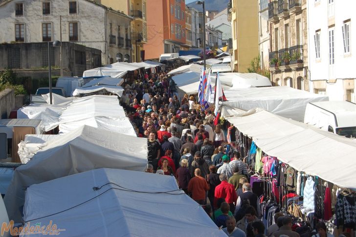 As San Lucas 2009
Puestos de la feria
