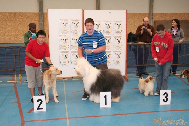 Concurso Canino
Entrega de premios
