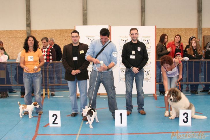 Concurso Canino
Entrega de premios
