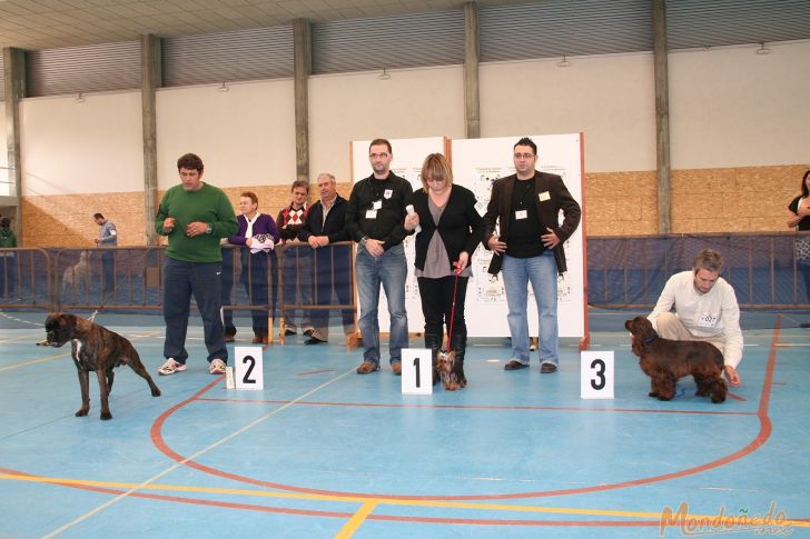 Concurso Canino
Entrega de premios
