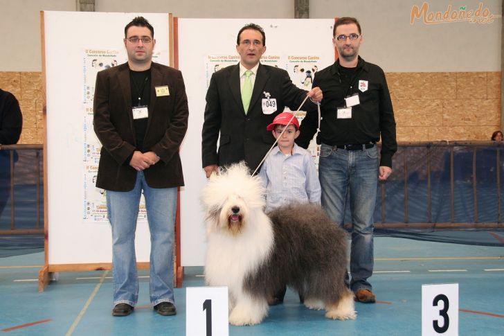 Concurso Canino
Entrega de premios
