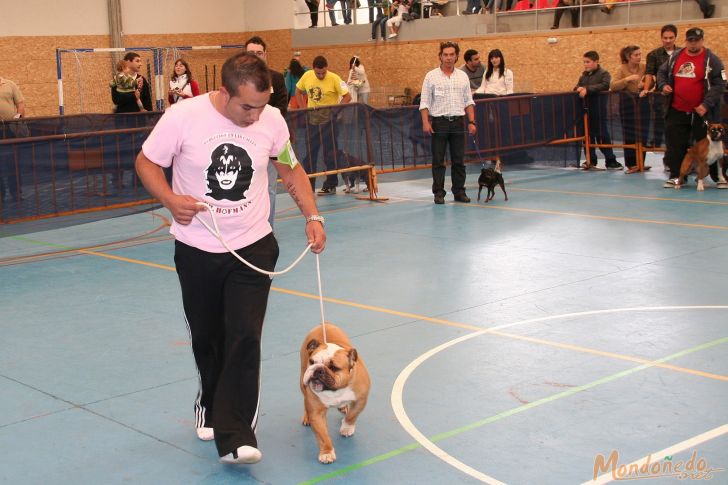 Concurso Canino
Finales del concurso
