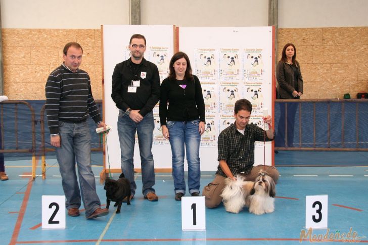 Concurso Canino
Entrega de premios
