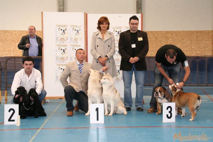 Concurso Canino
Entrega de premios
