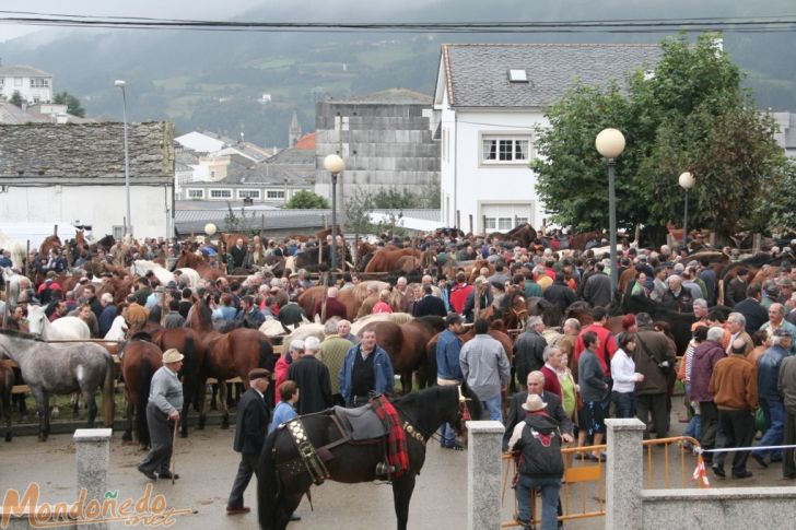 As San Lucas 2007
Vista de la feria
