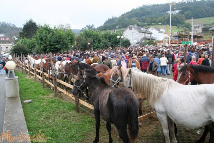 As San Lucas 2007
Vista del campo de la feria
