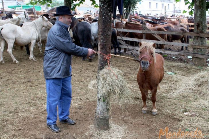 As San Lucas 2007
Vendiendo caballos
