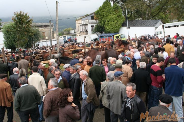 As San Lucas 2007
En la feria
