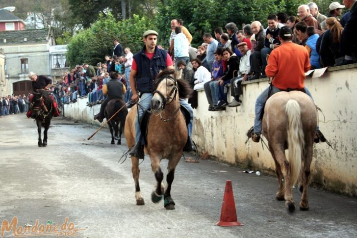 As San Lucas 2007
Concurso de andadura
