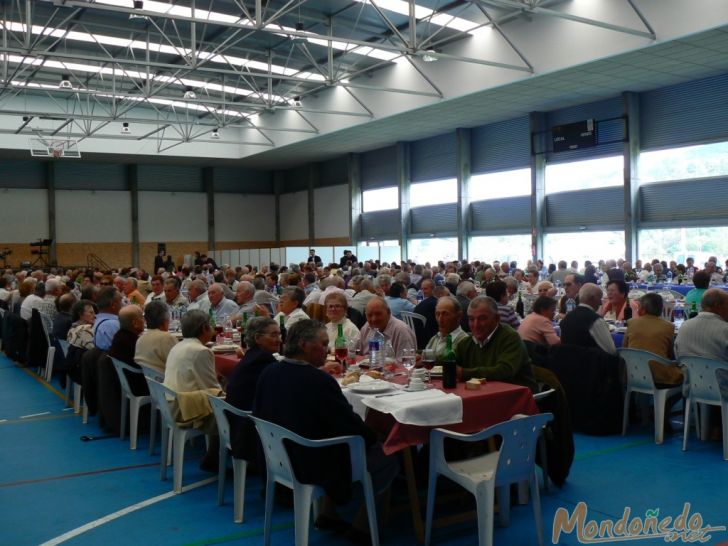 Comida tercera edad
Vista del pabellón. Foto cedida por mindonium.com
