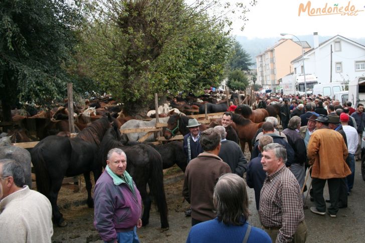 As San Lucas
Una vista de la feria
