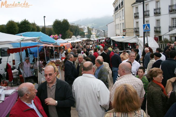 As San Lucas
Puestos de la feria
