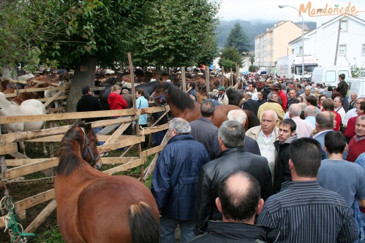 As San Lucas
Disfrutando de la feria
