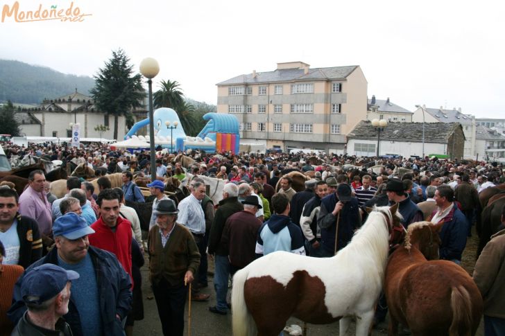 As San Lucas
Feria multitudinaria
