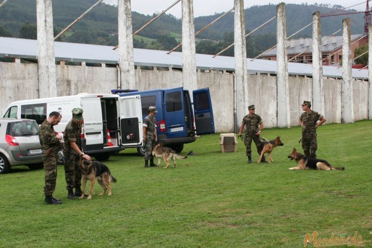 Concurso canino
Exhibición de Perros del Tercio Norte
