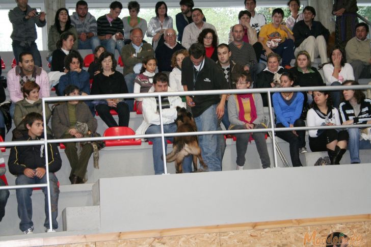 Concurso canino
Entre el público
