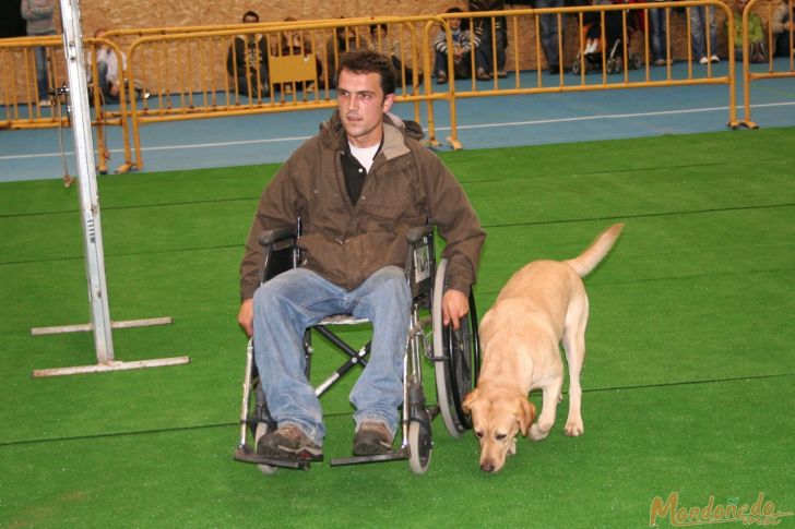 Concurso canino
Perros de ayuda a discapacitados
