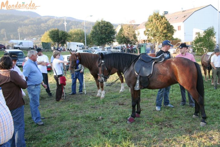 As San Lucas
Concurso de andadura
