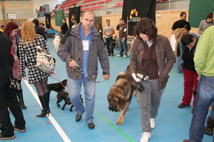 Concurso canino
Participantes en el concurso
