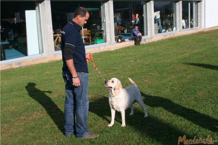 Concurso canino
En el exterior del pabellón
