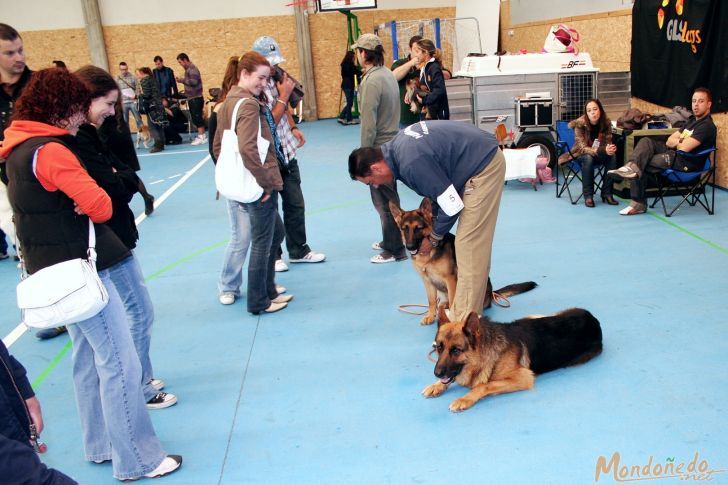 Concurso canino
Sesión matinal
