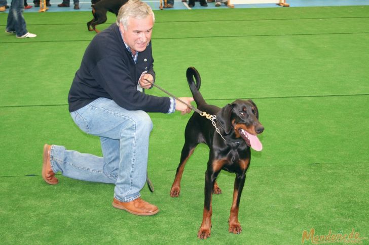 Concurso canino
En el concurso
