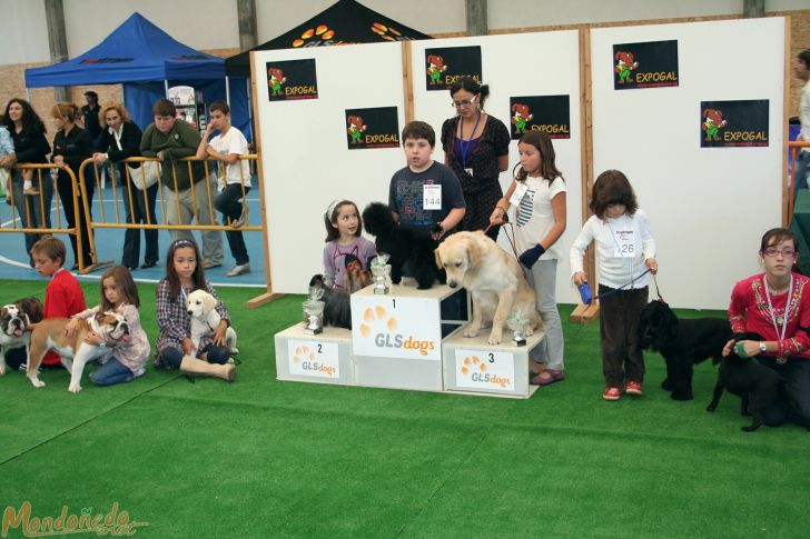 Concurso canino
Presentador infantil:
1º CANICHE TOY - 2º YORKSHIRE TERRIER - 3º GOLDEN RETRIEVER
