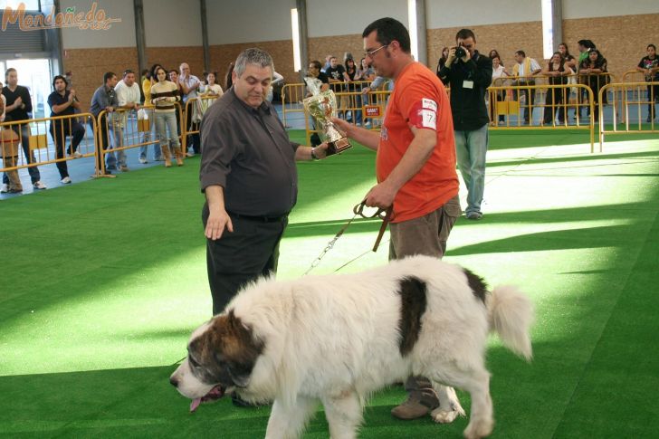 Concurso canino
Entrega de trofeos
