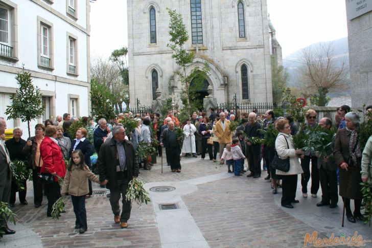 Domingo de Ramos
Procesión de Domingo de Ramos
