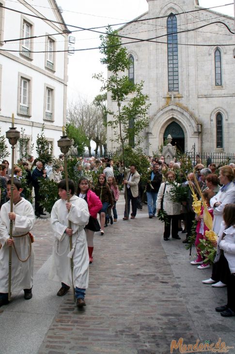 Domingo de Ramos
Procesión de Domingo de Ramos
