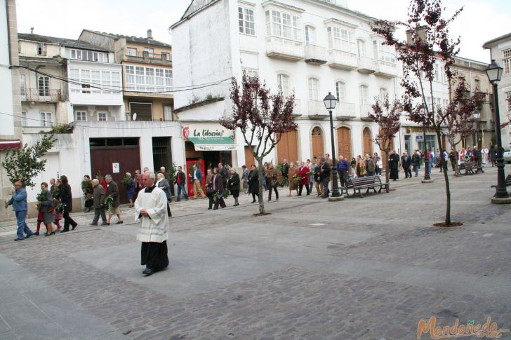 Semana Santa 2009
Procesión de Domingo de Ramos
