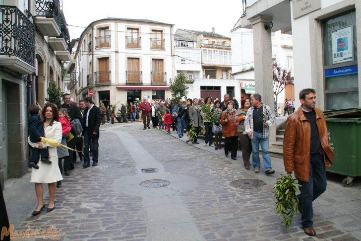 Semana Santa 2009
Procesión de Domingo de Ramos
