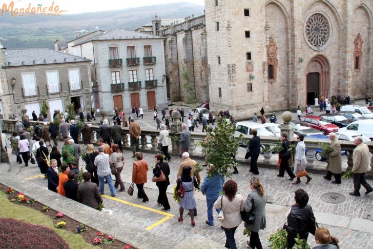 Semana Santa 2009
Procesión de Domingo de Ramos
