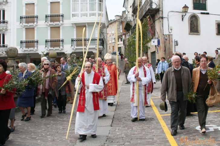 Semana Santa 2009
Procesión de Domingo de Ramos
