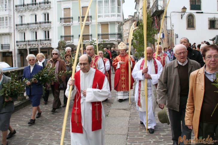 Semana Santa 2009
Procesión de Domingo de Ramos
