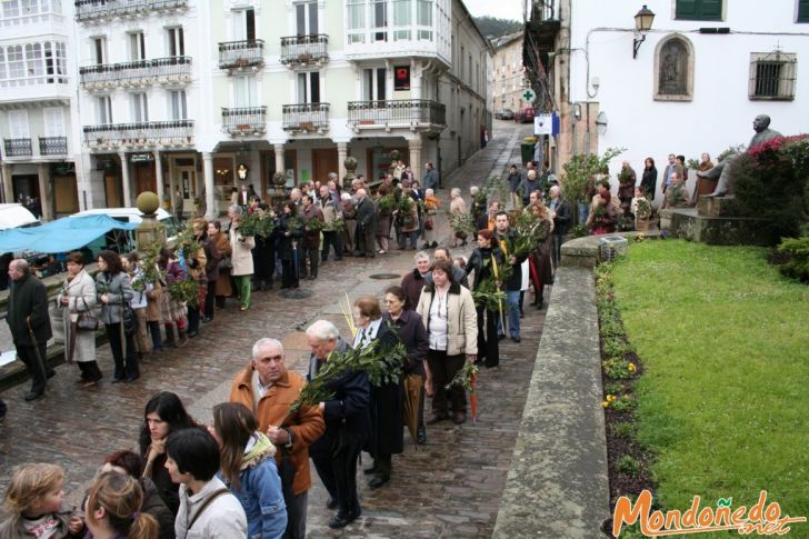 Domingo de Ramos
Multitudinaria procesión
