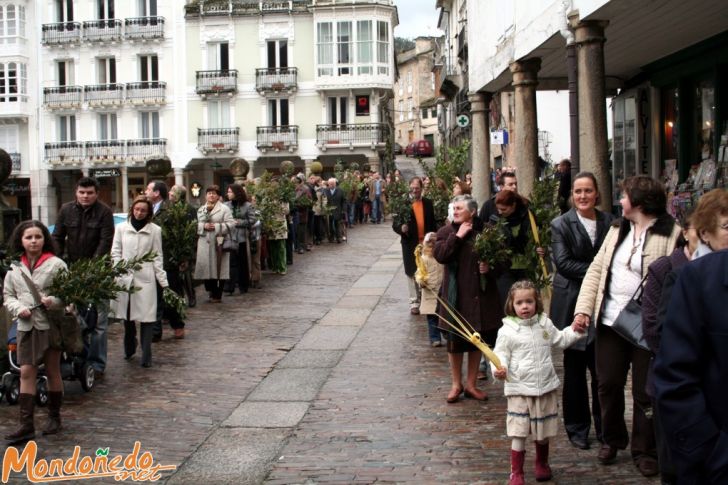 Domingo de Ramos
Procesión de Domingo de Ramos
