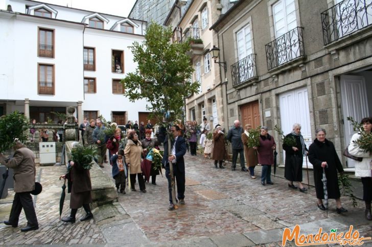 Domingo de Ramos
Un momento de la procesión
