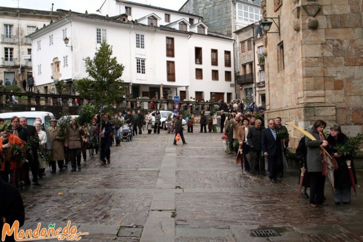 Domingo de Ramos
Llegando a la Catedral
