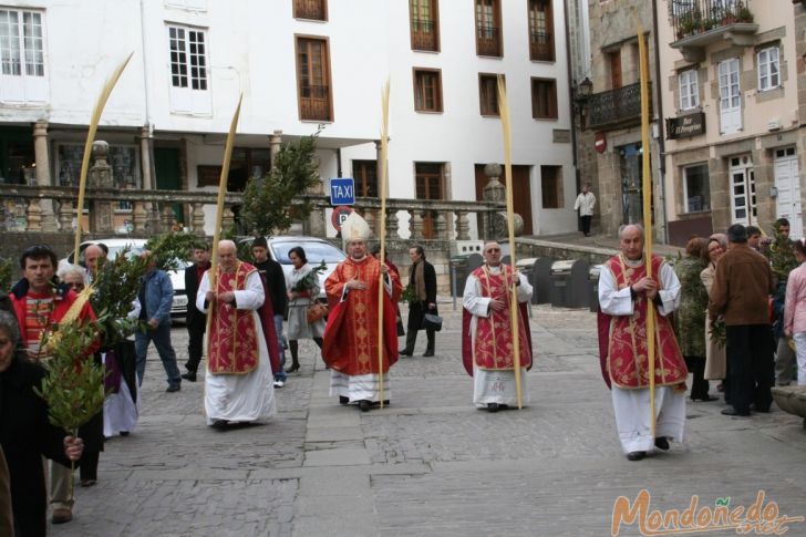 Domingo de Ramos
Procesión de Ramos
