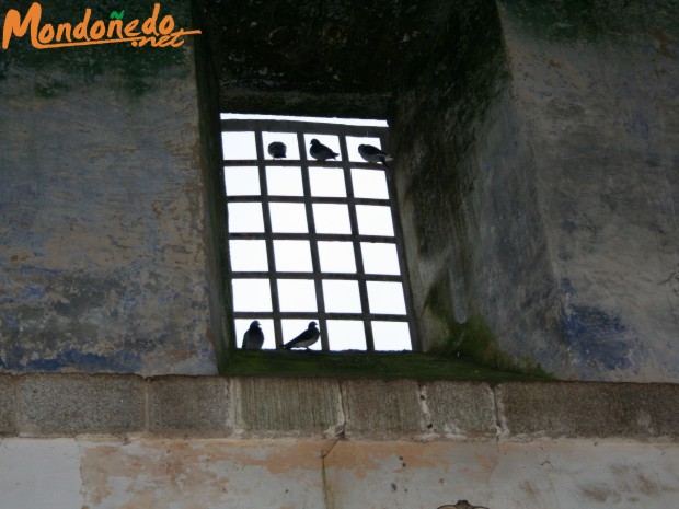 Convento de Alcántara
Las palomas, actuales moradoras.
