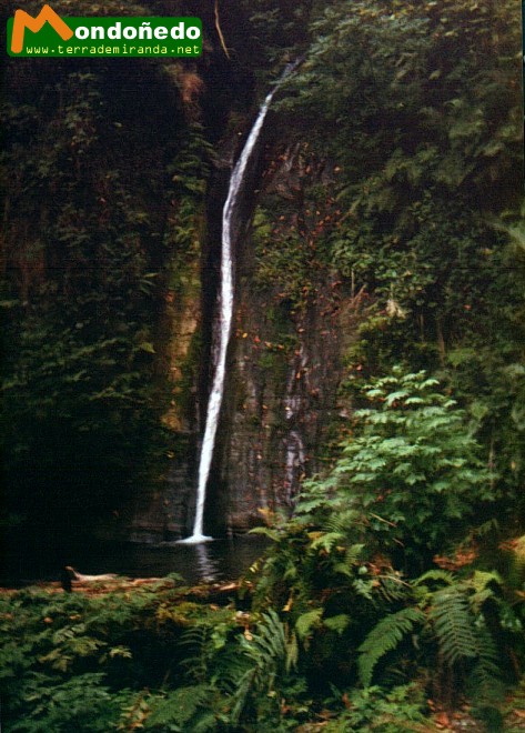 Salto do Coro
Un salto de agua.
