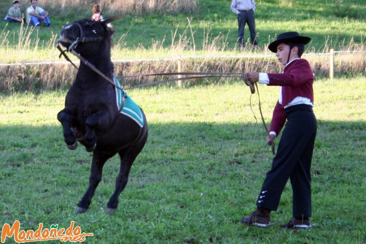 As San Lucas 2006
Exhibición con ponis
