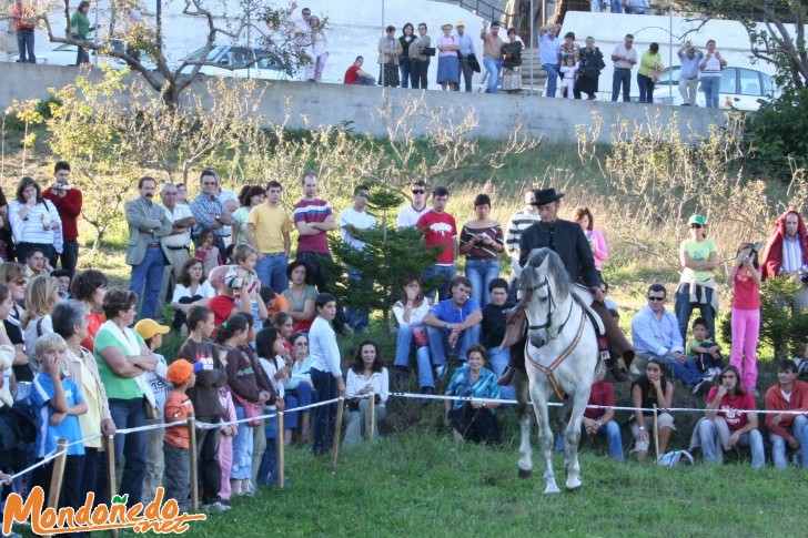 As San Lucas 2006
Asistentes a la exhibición de doma
