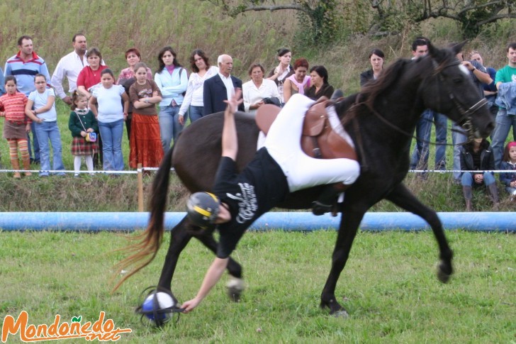 As San Lucas 2006
Elaticidad en la recogida
