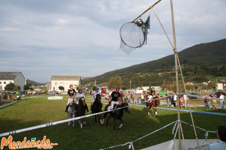 As San Lucas 2006
Canasta
