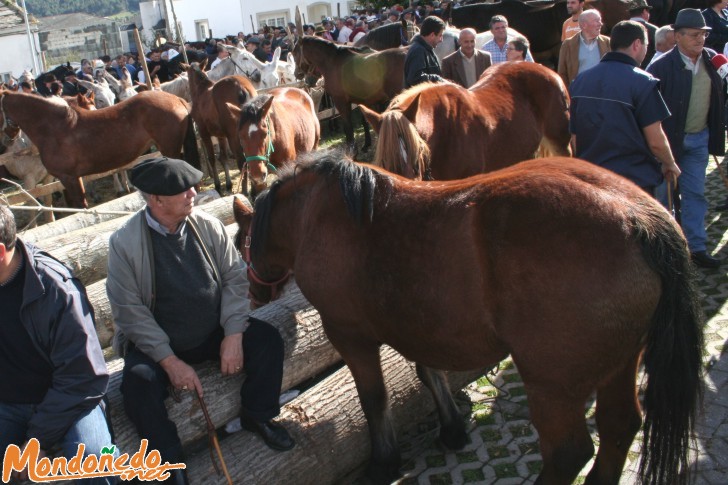 As San Lucas 2006
Vendiendo caballos
