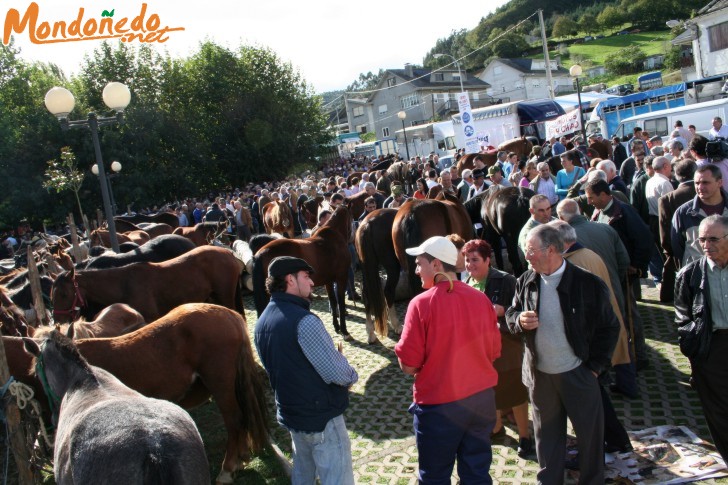 As San Lucas 2006
Una vista de la feria
