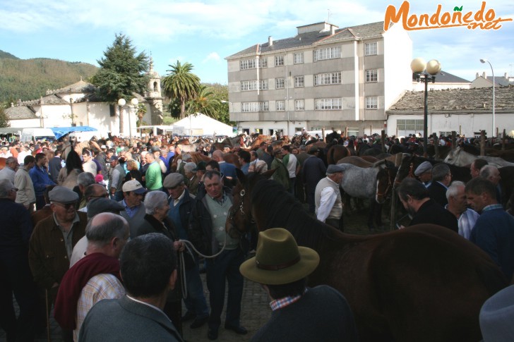 As San Lucas 2006
Feria multitudinaria
