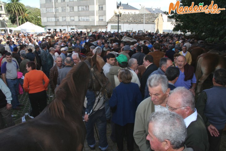 As San Lucas 2006
Asistentes a la feria
